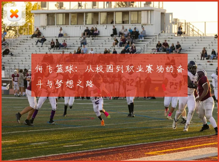 何飞篮球：从校园到职业赛场的奋斗与梦想之路
