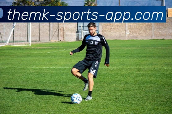 mk体育APP平台生态图