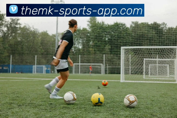 mk体育APPAPP 封面图